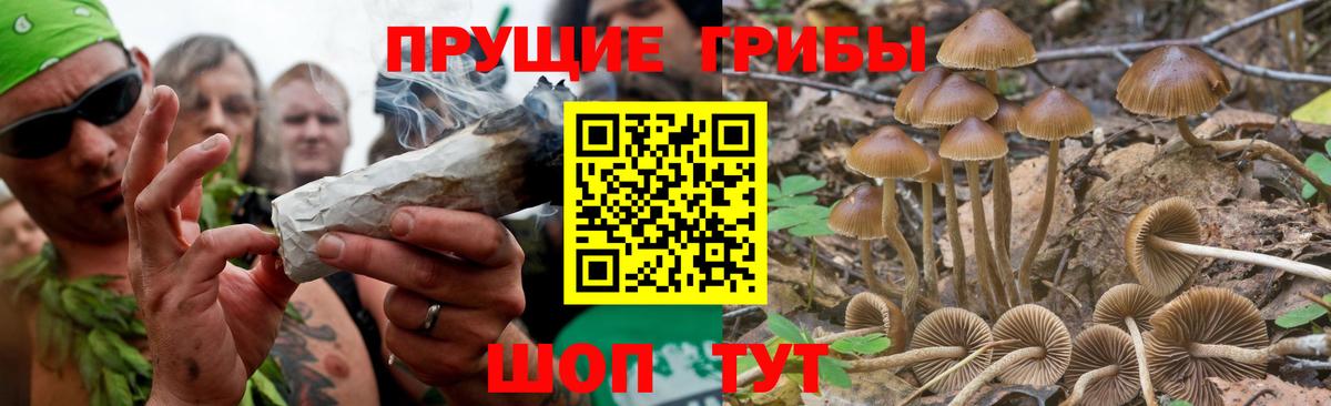 Псилоцибиновые грибы GOLDEN TEACHER  Вход с VPN  Сургут 
