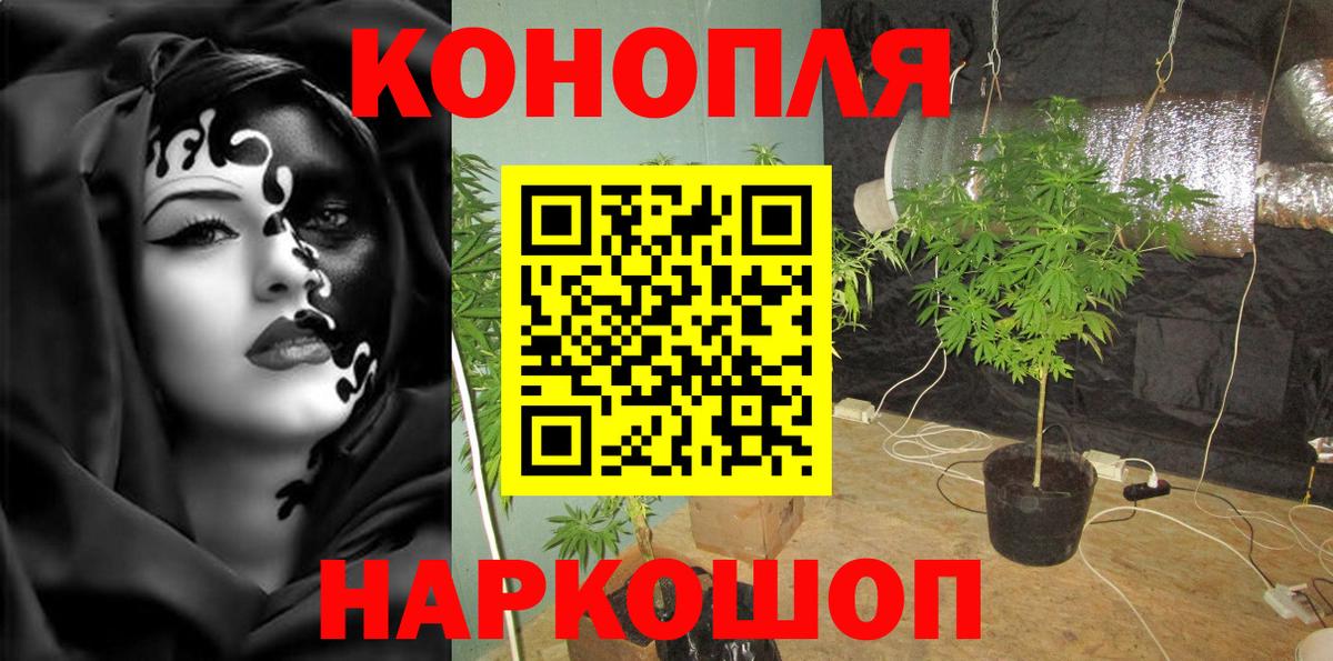 Марихуана сатива Сургут